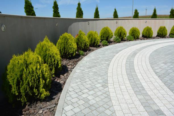 Best Professional Driveway Pavers  in Hendersonville, TN